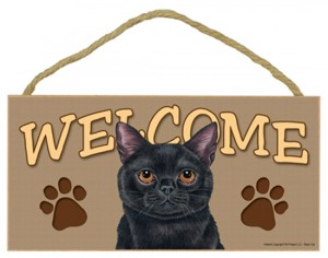 Black Cat Welcome Sign