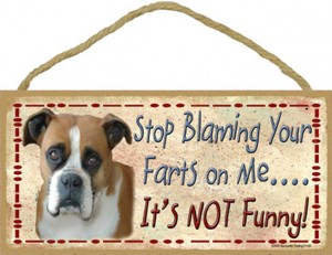 Stop Blaming Your Farts On Me (Boxer) Wood Sign
